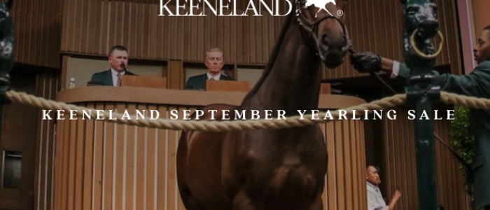 Keeneland September Yearling Sale Catalog image.